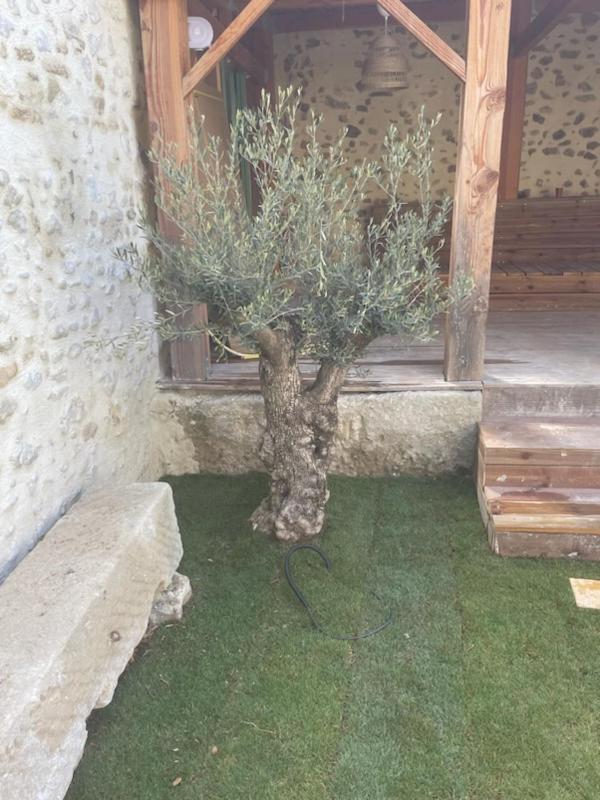 Drome Provencale Maison Familiale Calme Dans Village Valréas Kültér fotó